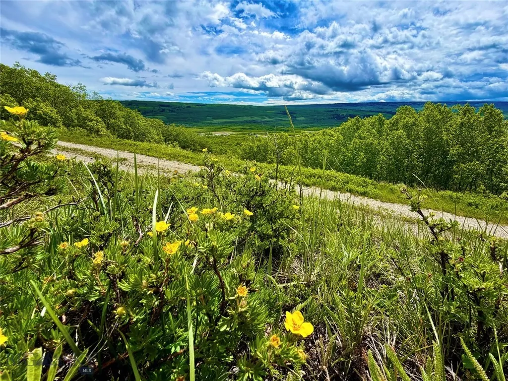 Lot 8 Arlie Tract Babb MT 59411