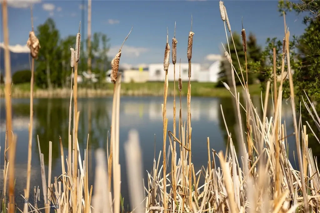 4754 Vine Street Bozeman MT 59718