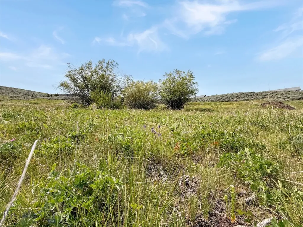 9363 Pioneer Mountain Scenic By-way Polaris MT 59746
