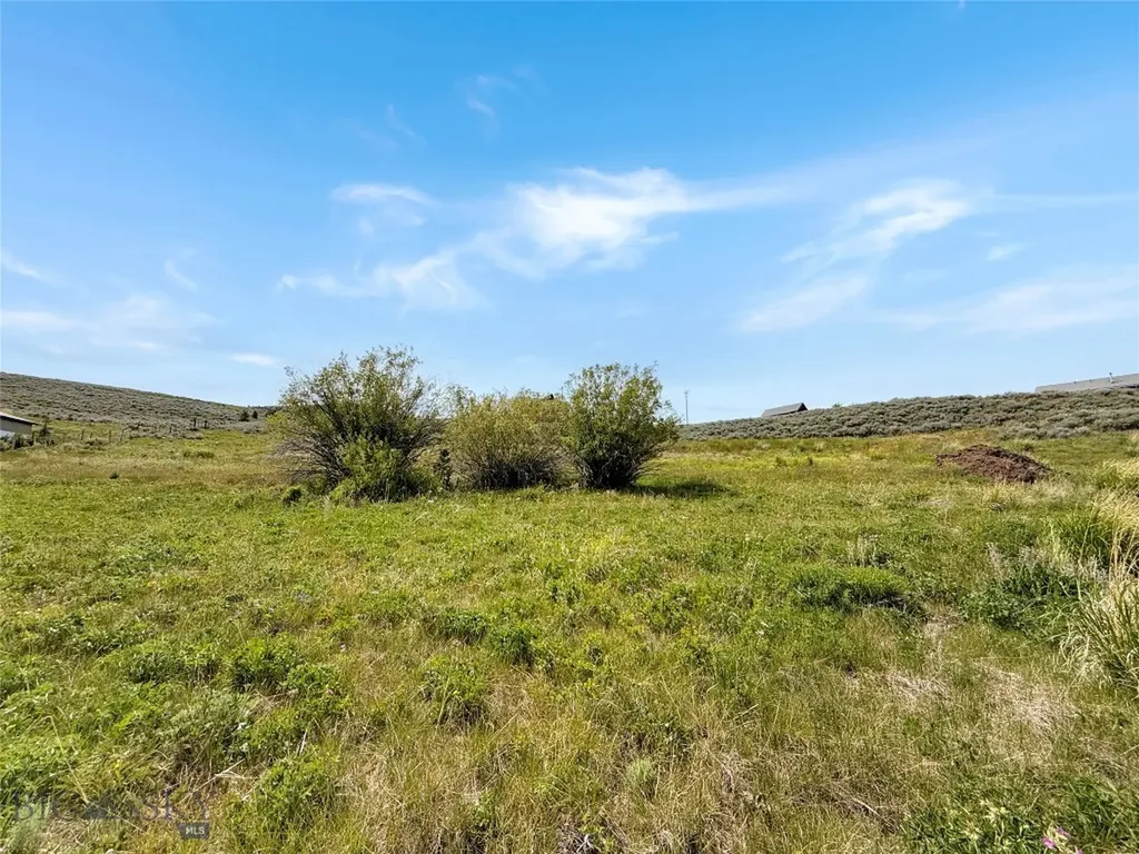9363 Pioneer Mountain Scenic By-way Polaris MT 59746