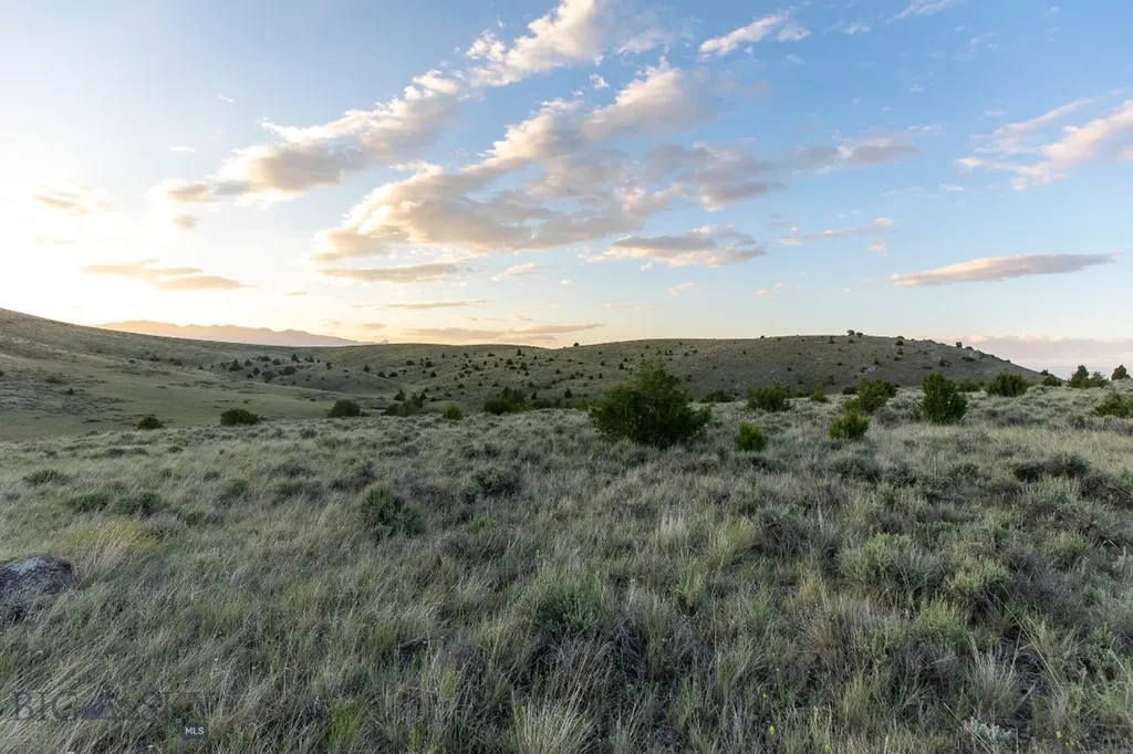 Lot 283 Tbd Clearwater Trail Manhattan MT 59741