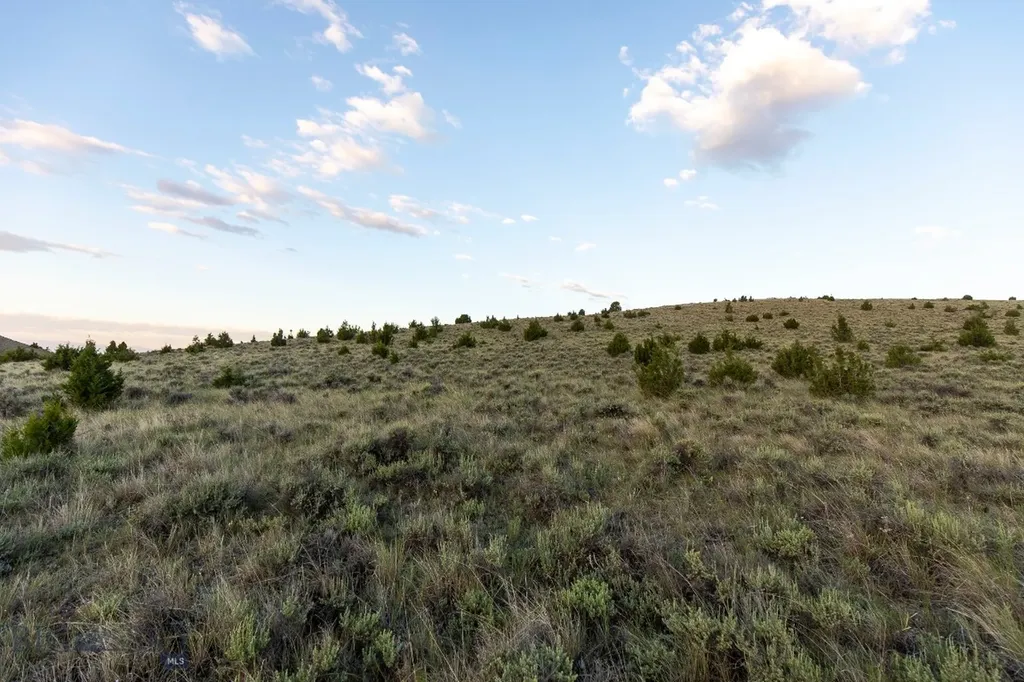 Lot 283 Tbd Clearwater Trail Manhattan MT 59741