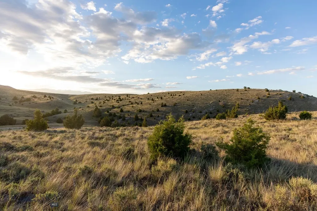 Lot 283 Tbd Clearwater Trail Manhattan MT 59741