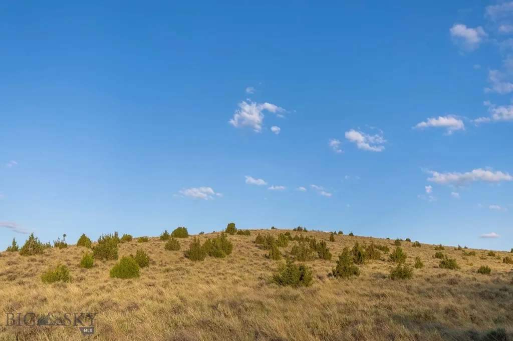 Lot 283 Tbd Clearwater Trail Manhattan MT 59741
