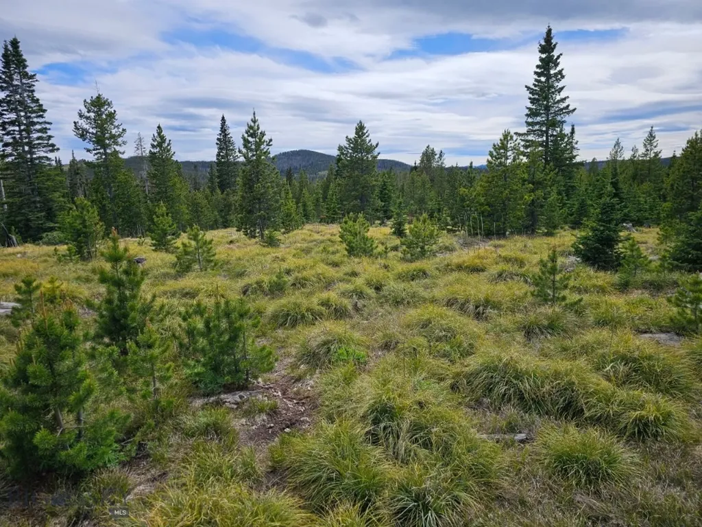 Tbd Bullion Parks Road Elliston MT 59728