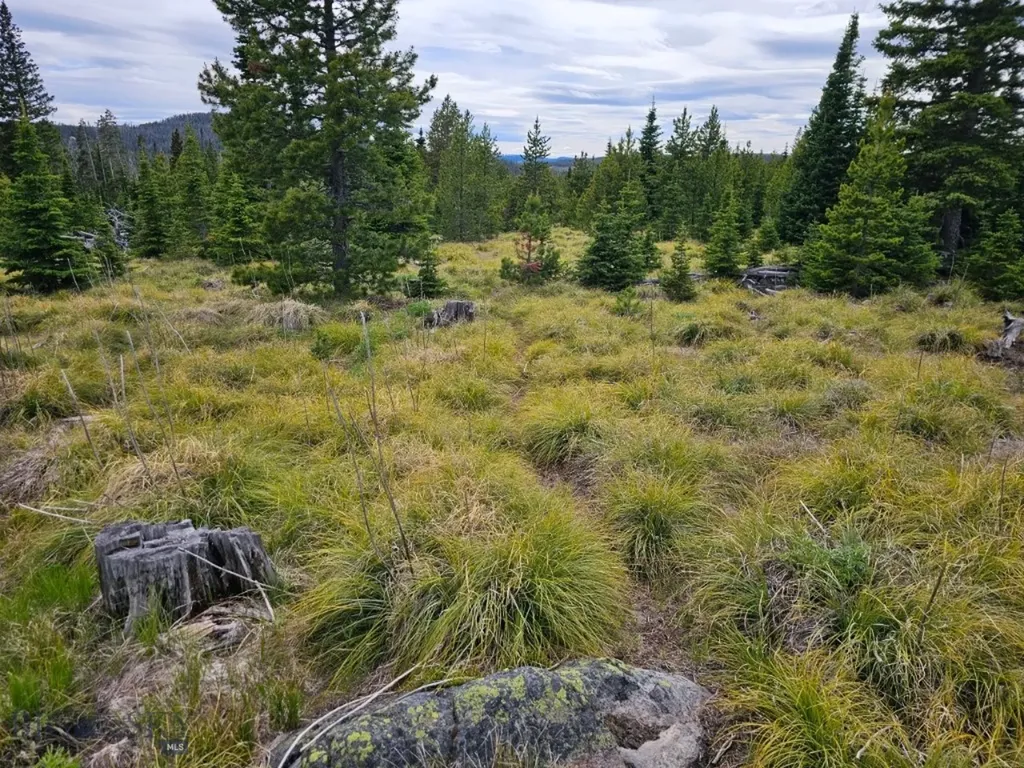 Tbd Bullion Parks Road Elliston MT 59728