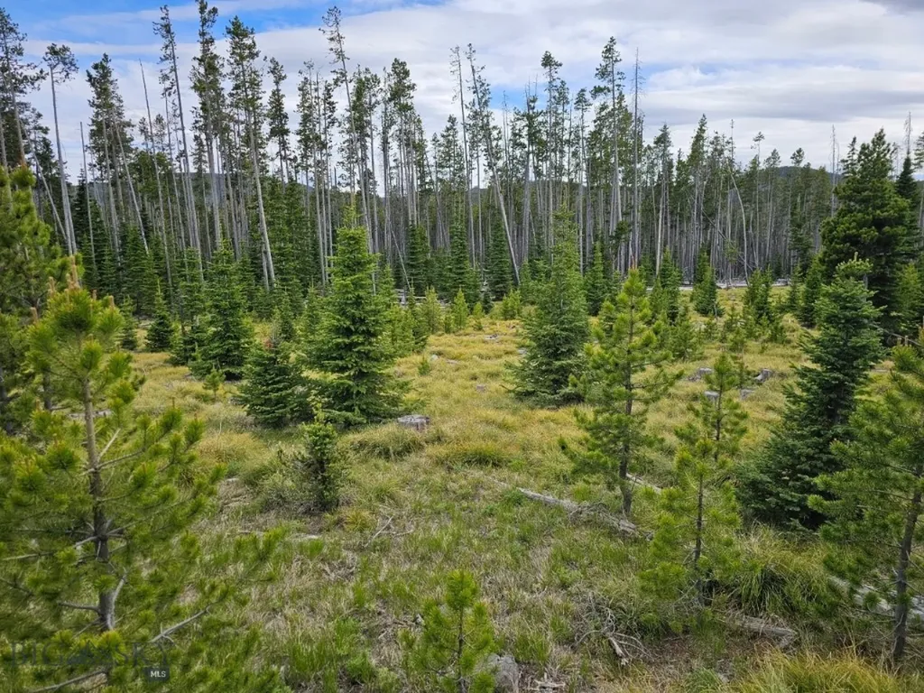 Tbd Bullion Parks Road Elliston MT 59728
