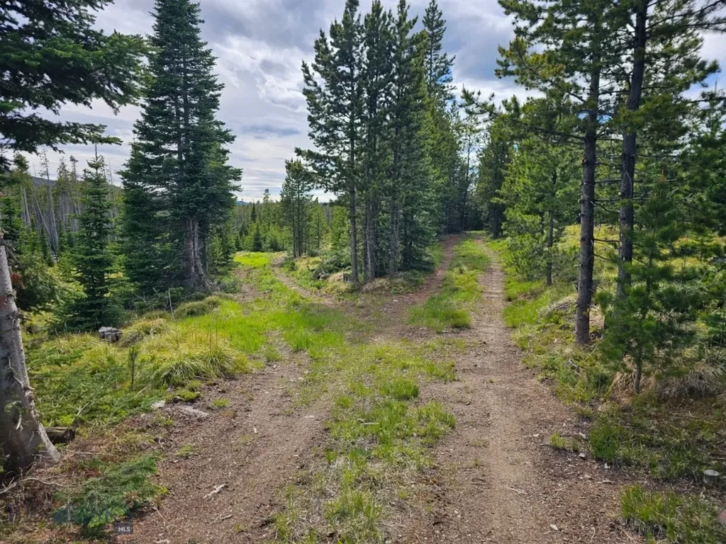 Tbd Bullion Parks Road Elliston MT 59728