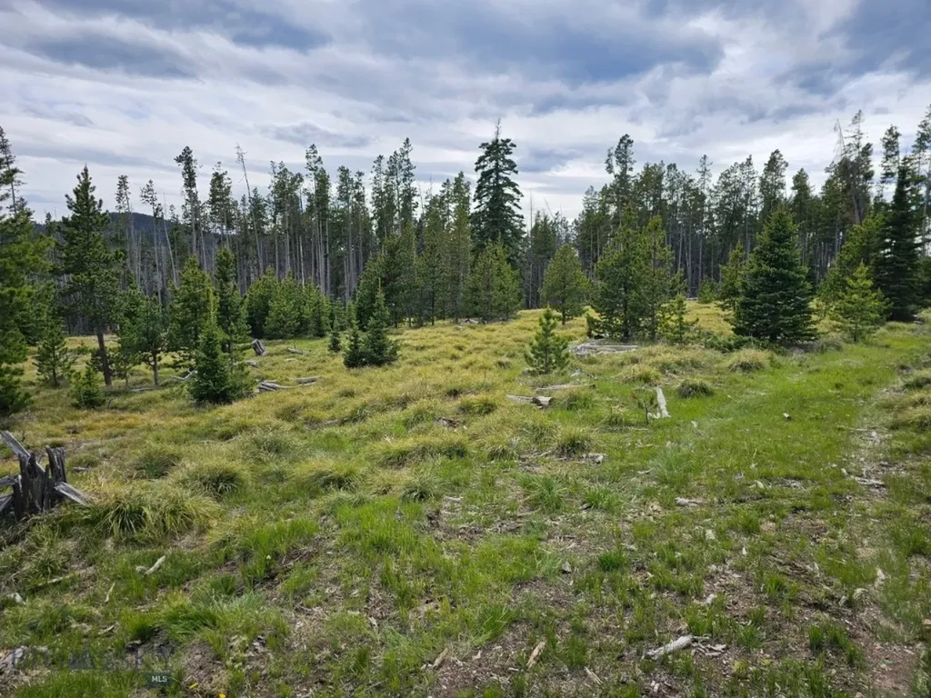 Tbd Bullion Parks Road Elliston MT 59728