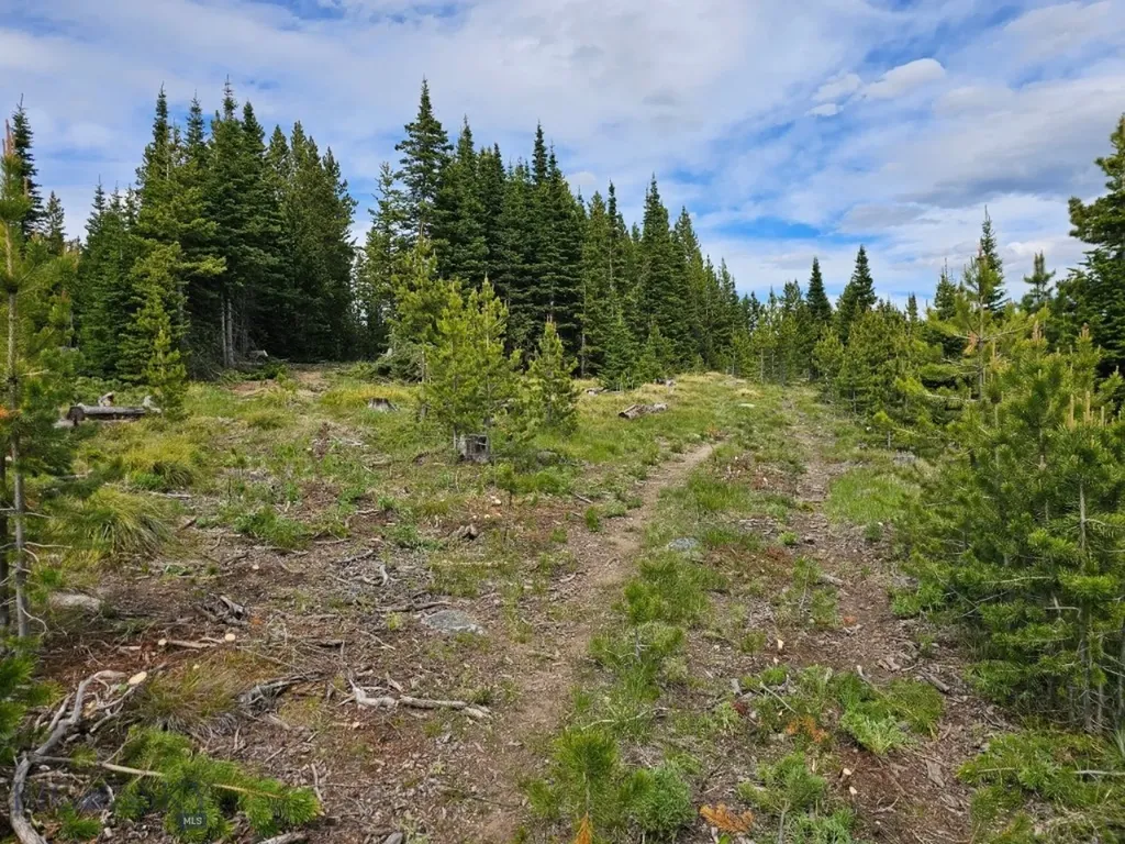 Tbd Bullion Parks Road Elliston MT 59728
