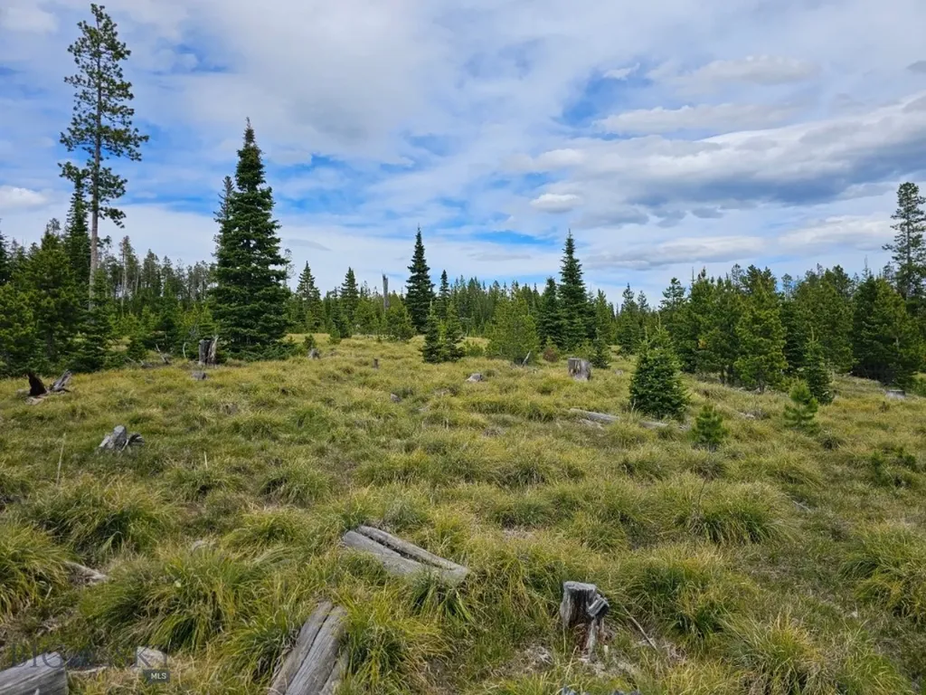 Tbd Bullion Parks Road Elliston MT 59728