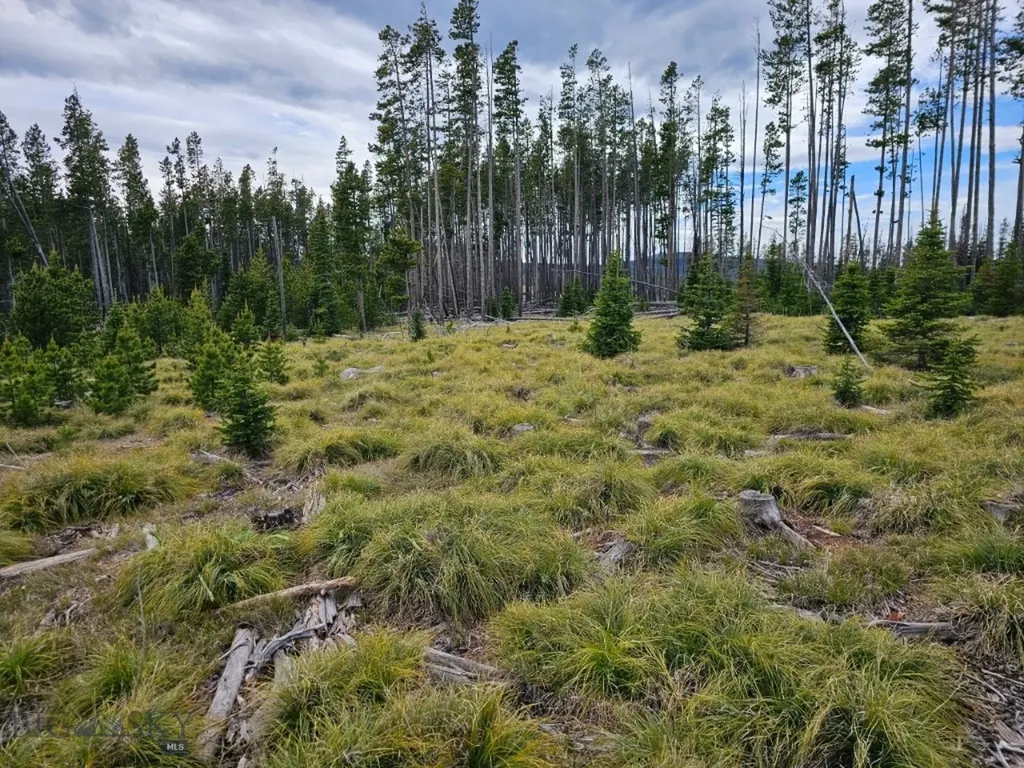 Tbd Bullion Parks Road Elliston MT 59728