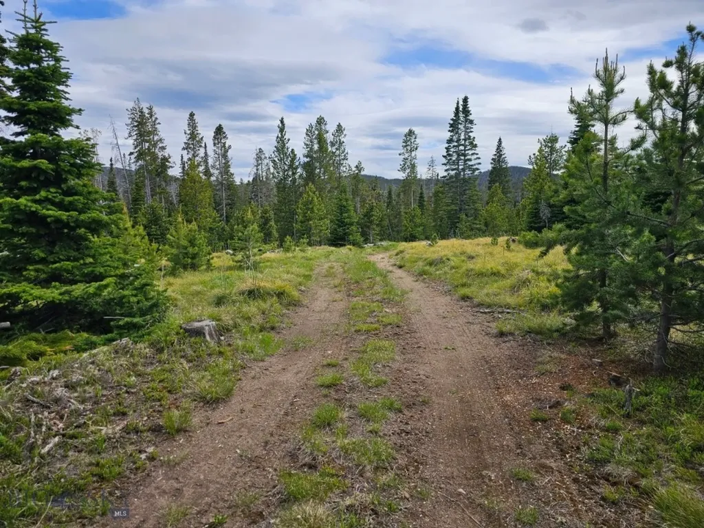 Tbd Bullion Parks Road Elliston MT 59728