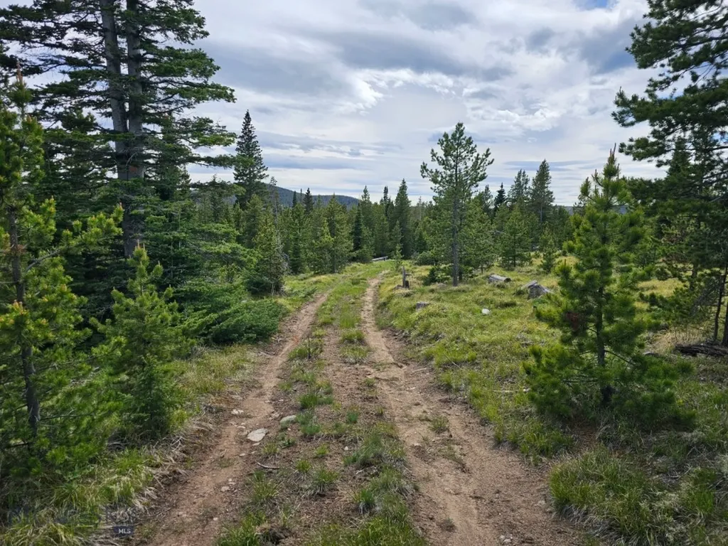 Tbd Bullion Parks Road Elliston MT 59728