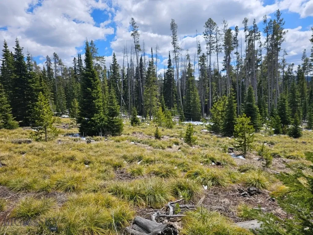Tbd Bullion Parks Road Elliston MT 59728