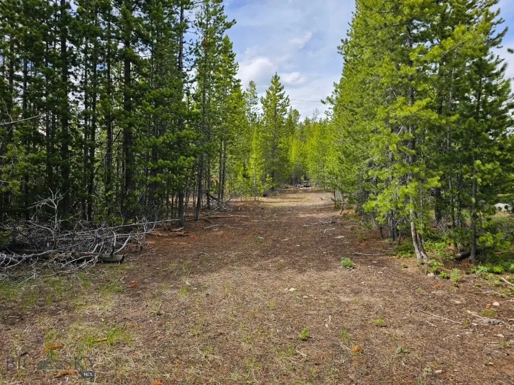 Tbd Bullion Parks Road Elliston MT 59728