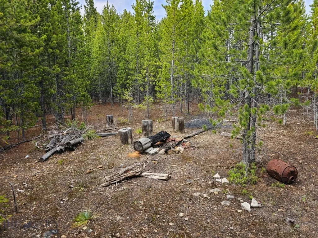 Tbd Bullion Parks Road Elliston MT 59728