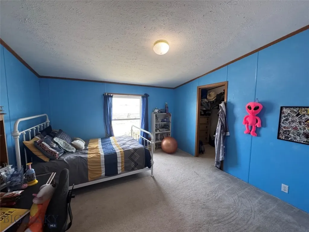 27 Cox Creek Lane Big Timber MT 59011
