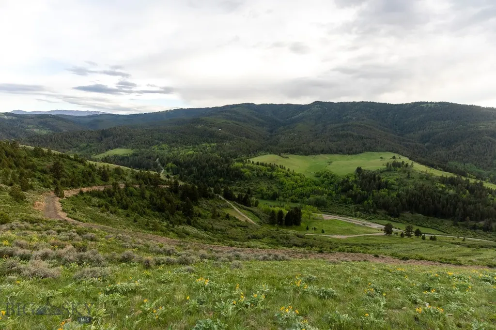 Tbd Trail Creek Road Lot 2 Bozeman MT 59715