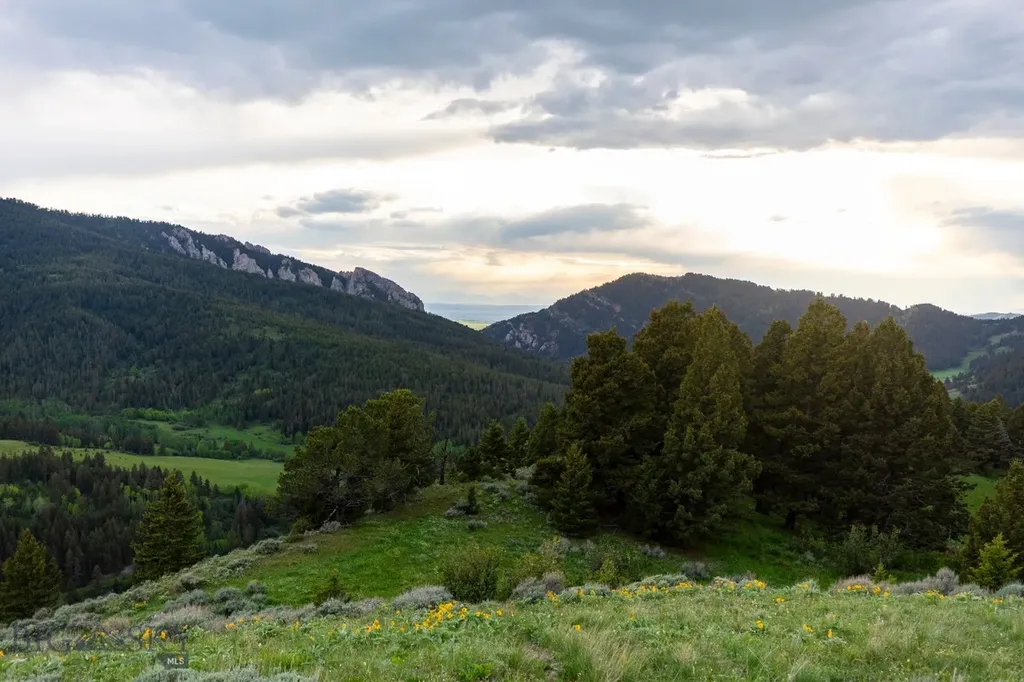 Tbd Trail Creek Road Lot 2 Bozeman MT 59715