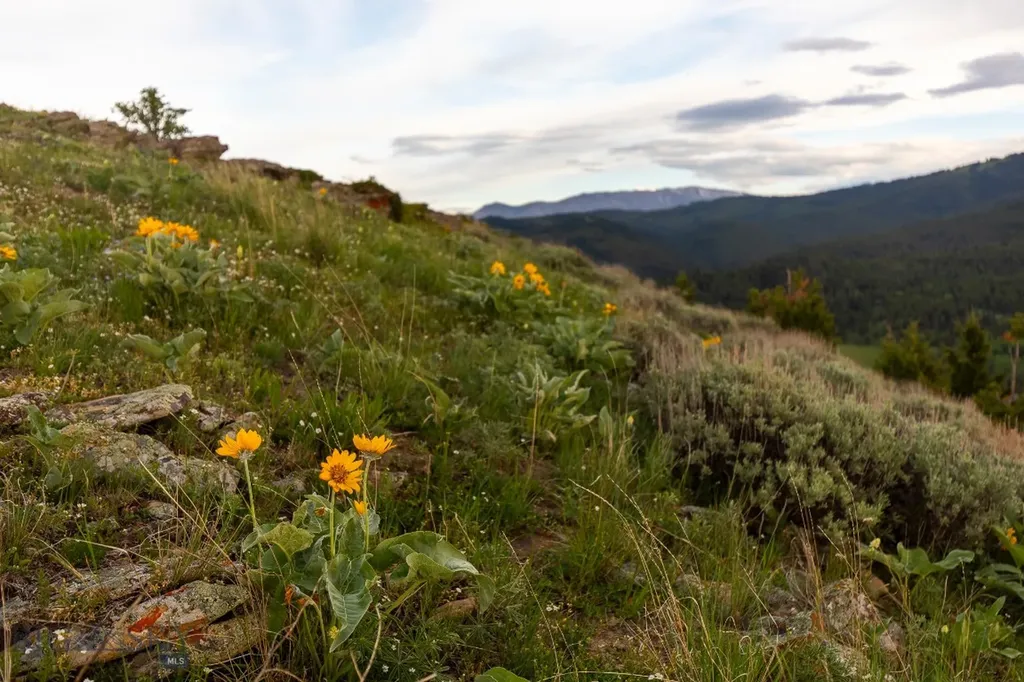 Tbd Trail Creek Road Lot 2 Bozeman MT 59715