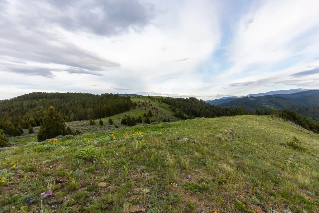 Tbd Trail Creek Road Lot 2 Bozeman MT 59715
