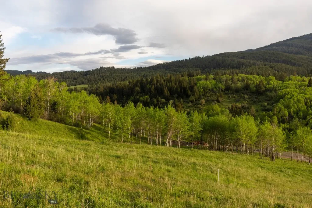 Tbd Trail Creek Road Lot 2 Bozeman MT 59715
