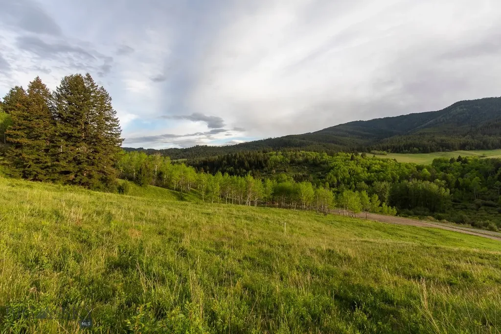 Tbd Trail Creek Road Lot 2 Bozeman MT 59715