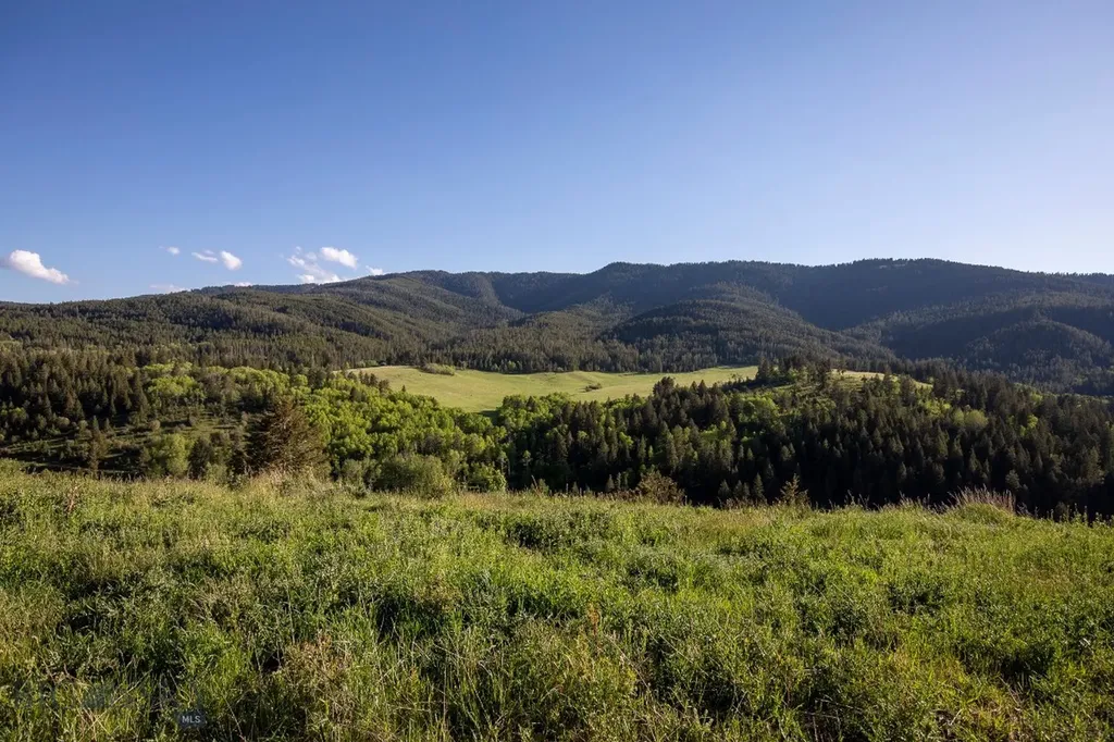 Tbd Trail Creek Road Lot 2 Bozeman MT 59715