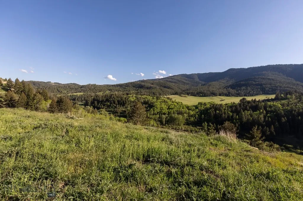 Tbd Trail Creek Road Lot 2 Bozeman MT 59715