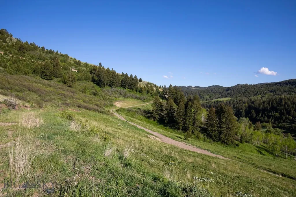 Tbd Trail Creek Road Lot 2 Bozeman MT 59715