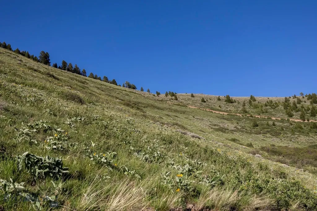 Tbd Trail Creek Road Lot 2 Bozeman MT 59715