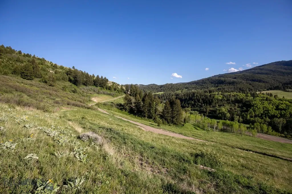 Tbd Trail Creek Road Lot 2 Bozeman MT 59715