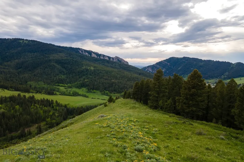 Tbd Trail Creek Road Lot 2 Bozeman MT 59715
