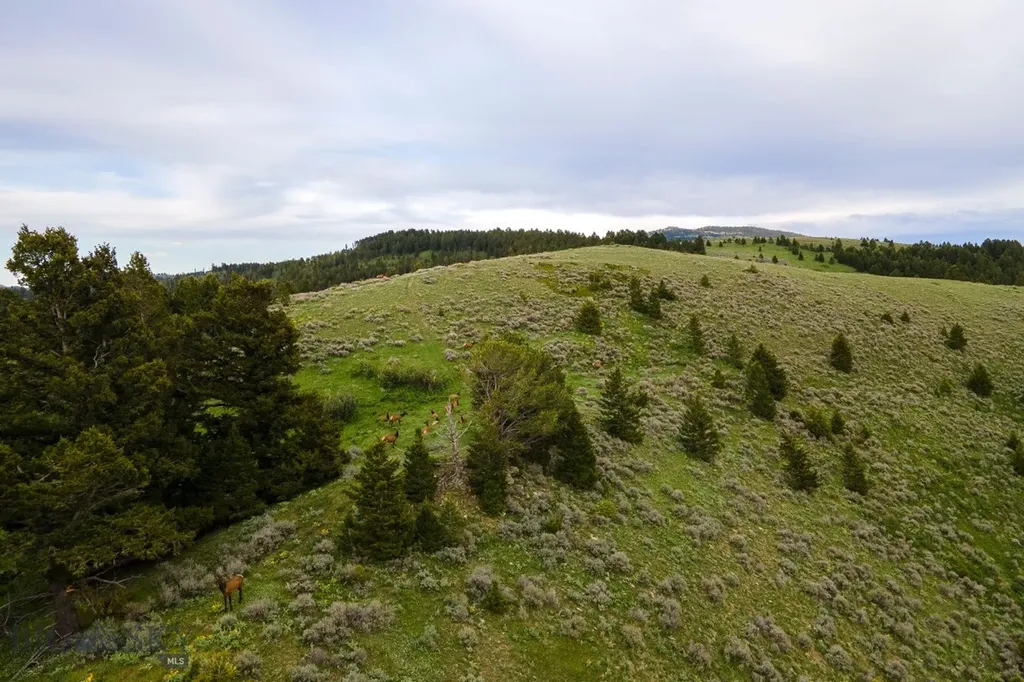 Tbd Trail Creek Road Lot 2 Bozeman MT 59715