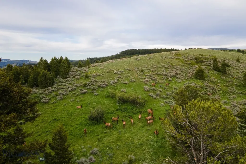 Tbd Trail Creek Road Lot 2 Bozeman MT 59715
