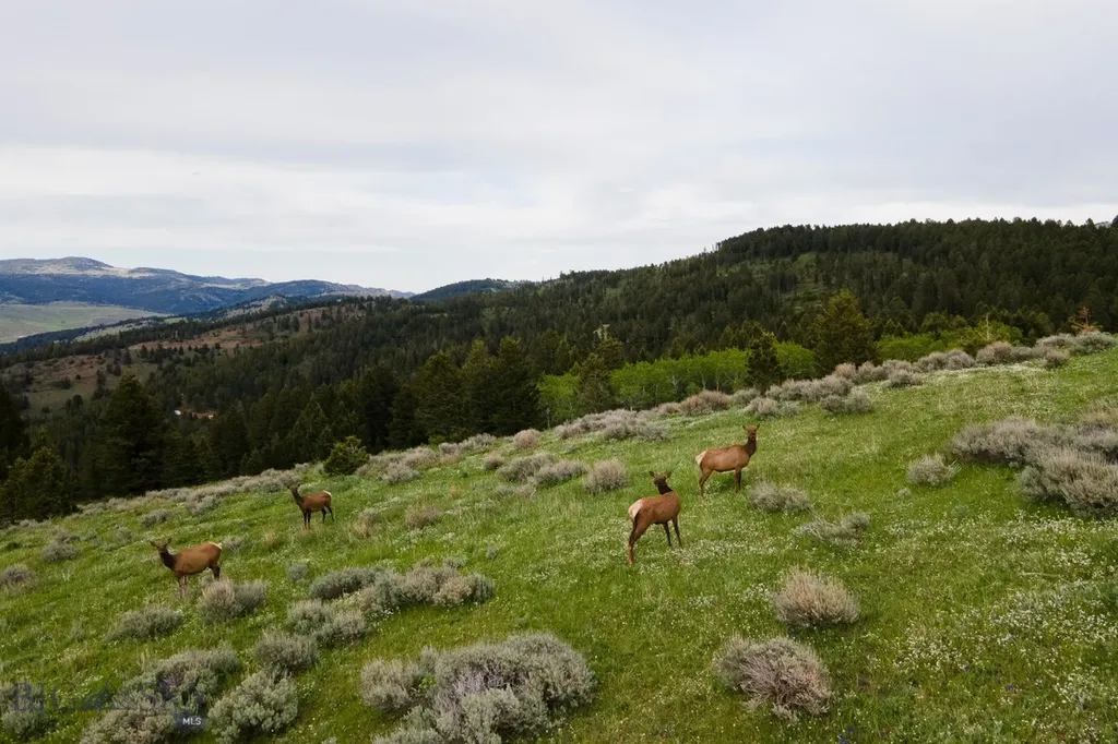 Tbd Trail Creek Road Lot 2 Bozeman MT 59715