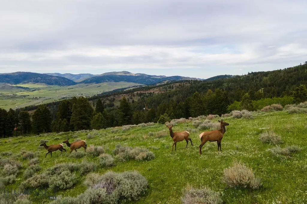 Tbd Trail Creek Road Lot 2 Bozeman MT 59715