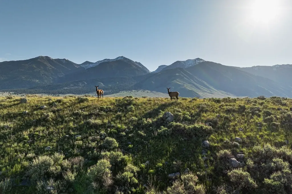 Tbd Madison River Ranch Cameron MT 59720