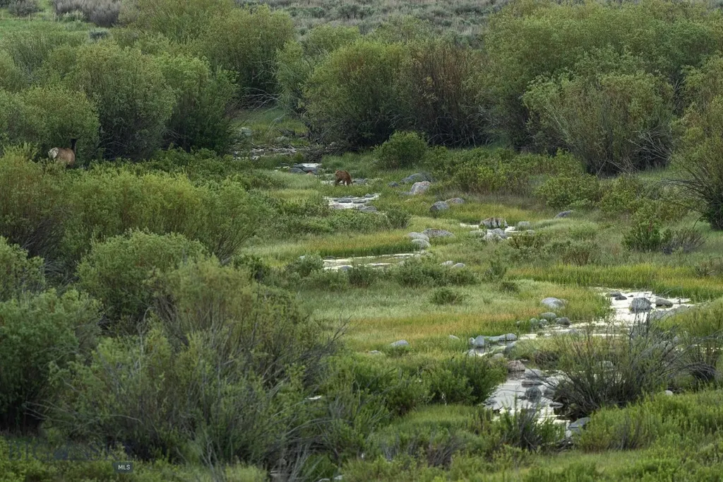 Tbd Madison River Ranch Cameron MT 59720