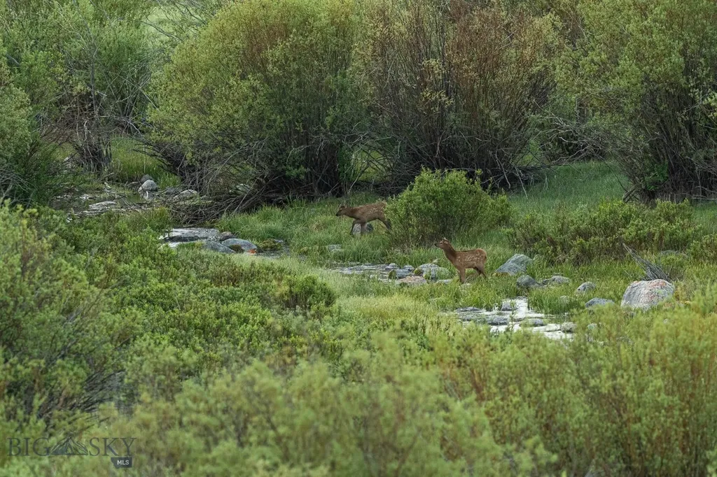 Tbd Madison River Ranch Cameron MT 59720