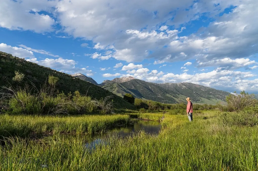Tbd Madison River Ranch Cameron MT 59720