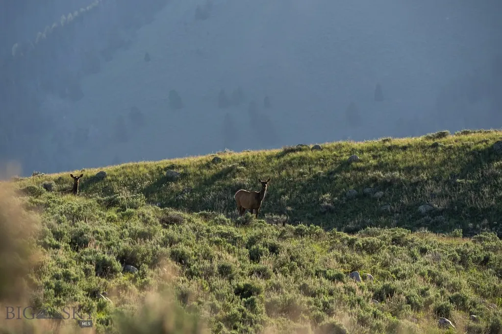 Tbd Madison River Ranch Cameron MT 59720