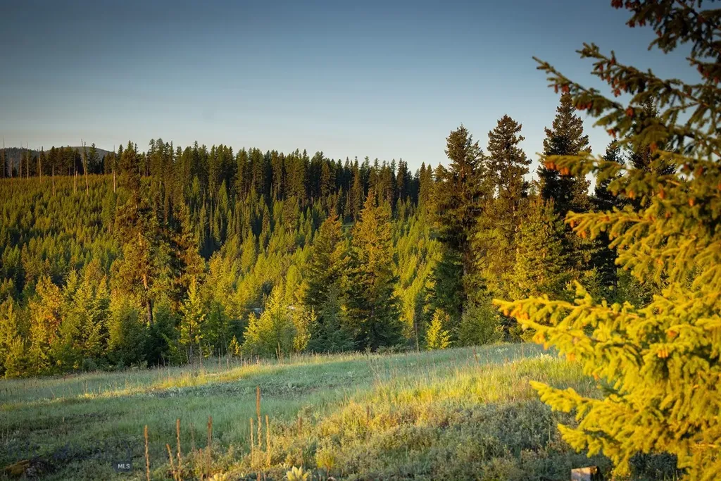 4475 & 4505 Star Meadows Road Whitefish MT 59937