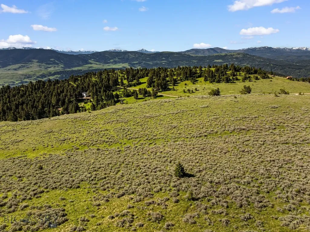 502 Quinn Creek Road Bozeman MT 59715