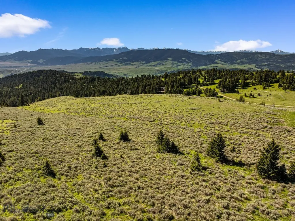 502 Quinn Creek Road Bozeman MT 59715