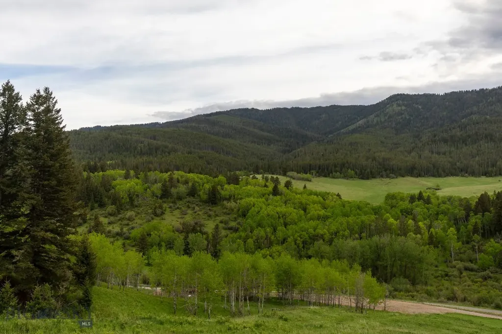 Tbd Trail Creek Road Lot 3 Bozeman MT 59715