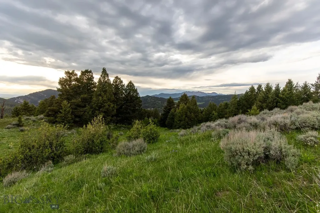 Tbd Trail Creek Road Lot 3 Bozeman MT 59715