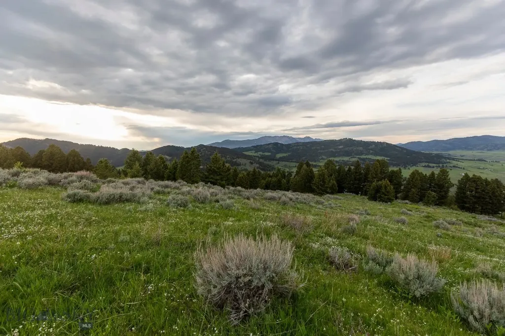 Tbd Trail Creek Road Lot 3 Bozeman MT 59715