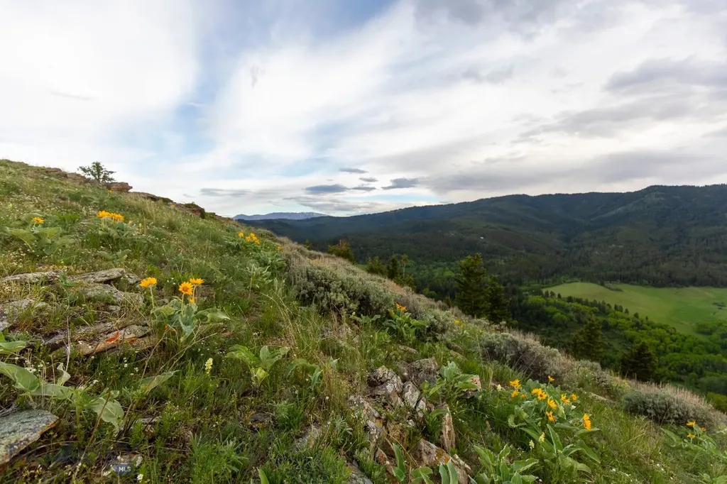 Tbd Trail Creek Road Lot 3 Bozeman MT 59715